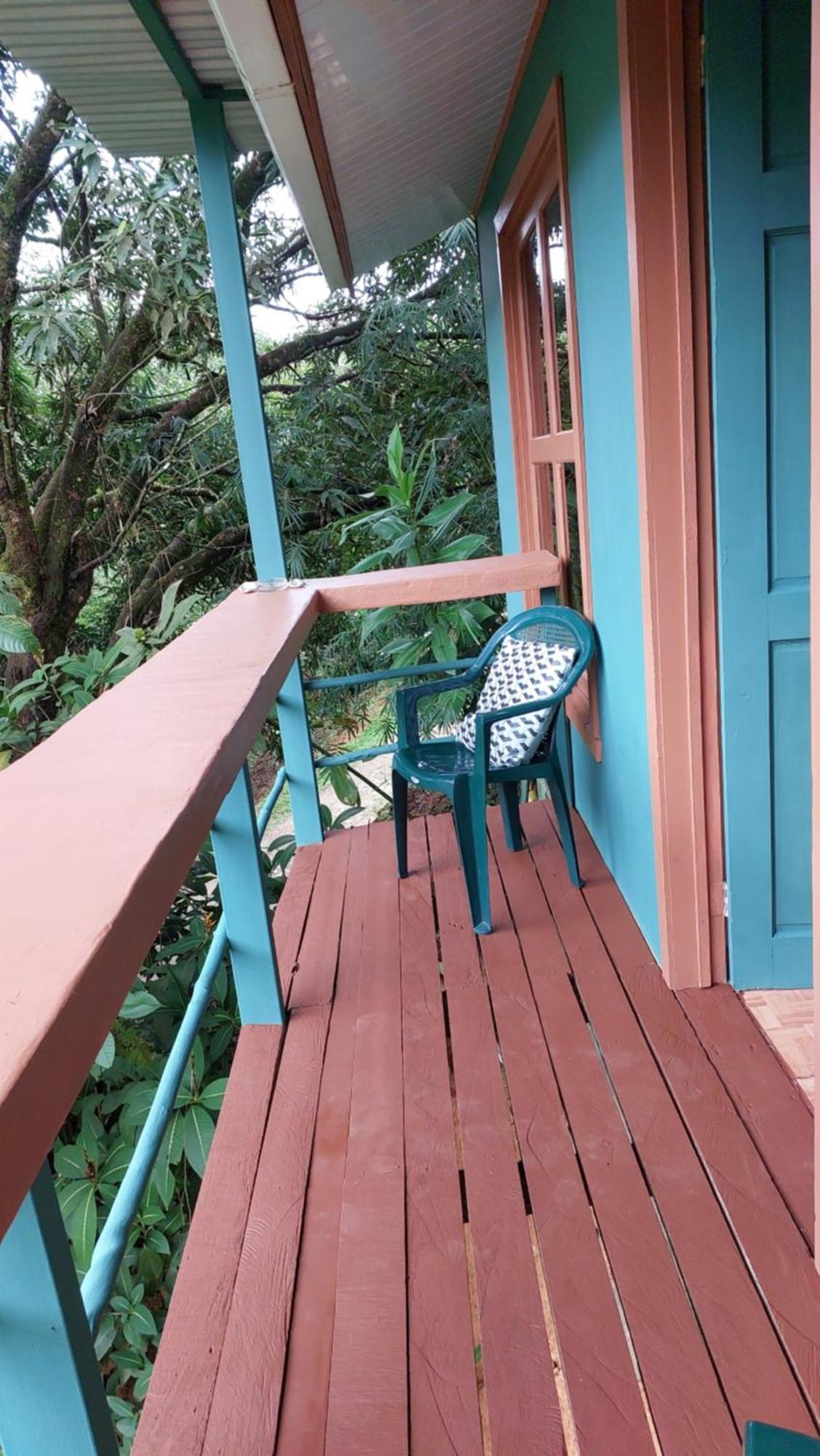 Cabanas Tico Gringo Drakes Bay Eksteriør billede