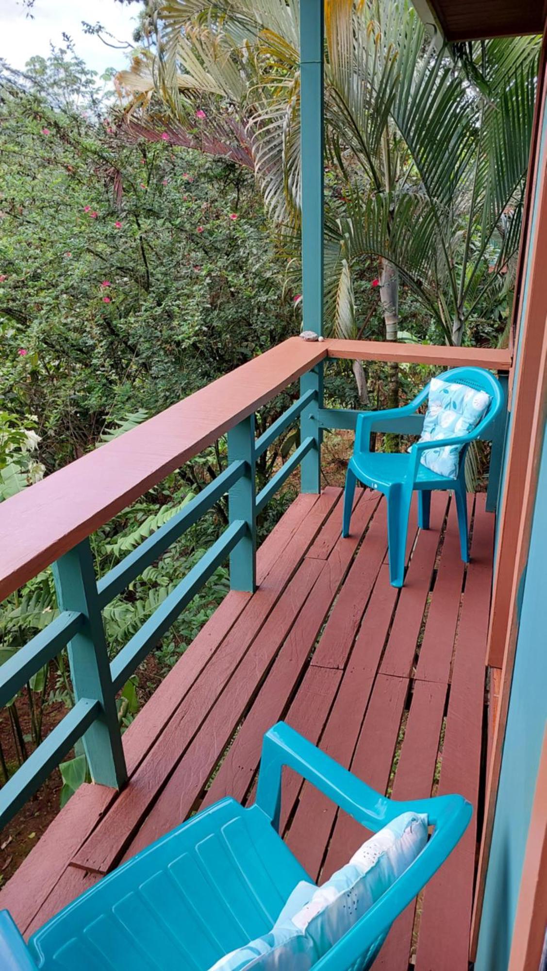 Cabanas Tico Gringo Drakes Bay Eksteriør billede